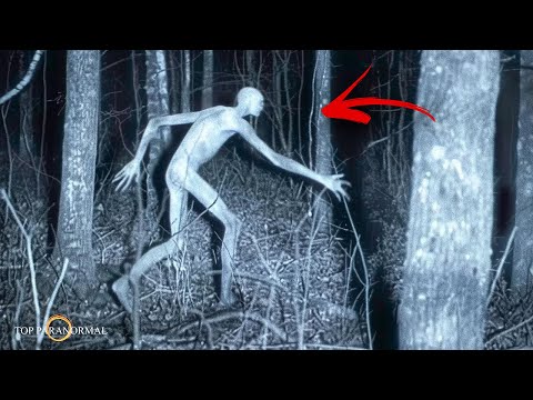 12 Videos de TERROR REAL que Desafían Toda Lógica /Fantasmas y Criaturas Captados en Cámara Parte 15