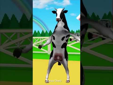 البقرة الراقصة |  البقرة الحلوب |  البقرة الضاحكة |  بقرة |  the cow