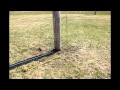 Measuring Pole Height with Shadows