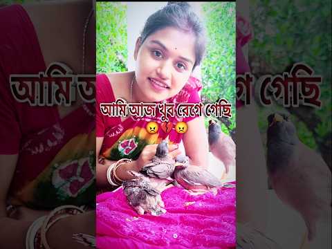 আমি আজ খুব রেগে গেছি 😡 | | Mini Vlog | #shorts #minivlog #vlog #mithu #baby #pujaback #parrot