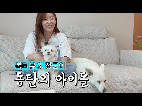 강아지 집사로 전향한 전직 아이돌의 삶