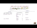 Sources of Food Ingredients