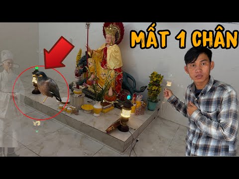Chuyện Lớn Xảy Ra Lộc Rơi Nước Mất Khi Hay Tin Dữ Thật Không Thể Tin Được Điều Đó Xảy Ra|Phim Ma