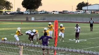 Week 5 / week 6 highlights