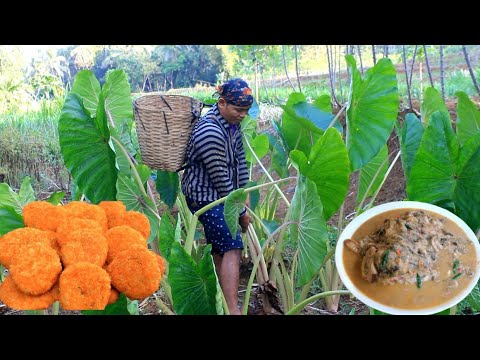 lompong sawah santan pedas bumbu pecak bunga onje dan nugget talas