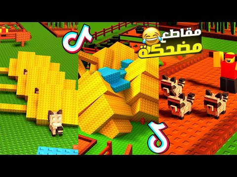 اقوي 5 مقاطع تيك توك تضحك 😂 حيوان الراكون يسرق 😱 - ماب المزرعة ج17 - Roblox Grow Garden