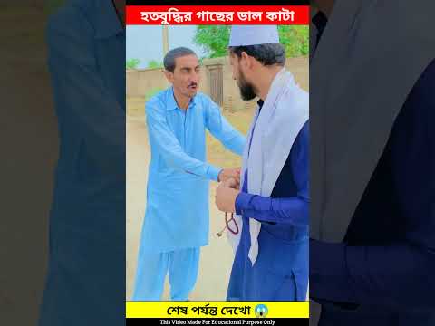 এই হতবুদ্ধি যে ডালের মধ্যে বসে ছিলো সেই ডালটাকেই কেটে দিলো 😆😆 #shorts #shortvideo