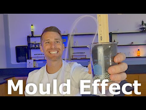 Mould Effect Experiment
