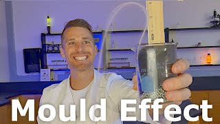 Mould Effect Experiment
