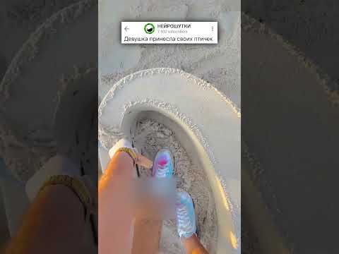 ПОПУГАЙНЫЕ ПРИКОЛЫ😂 #анекдоты #юмор #приколы