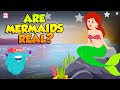 Mermaids: Myths and Misconceptions