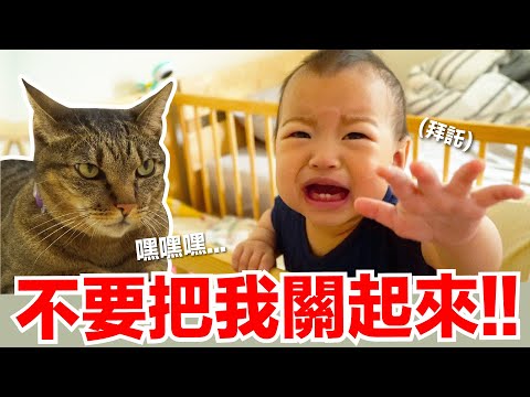 【小貓奴養成記EP16】不行了！只能把蕾夢關起來了！貓咪表示欣慰