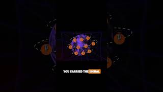 Who Actually Made Bitcoin Unstoppable #bitcoin #crypto #truth