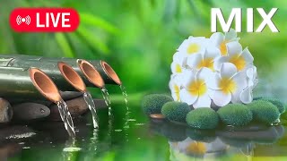 🔴Relaxing Music for Sleeping 24/7 • Deep Sleep Music, Relaxing Music, Stress Relief,Meditation Music