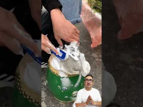 اذكي واغرب طريقة بيع 😂👌🏻