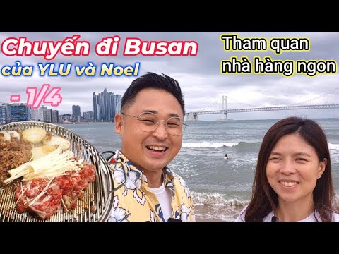 |511 - 1/4| Chuyến đi Busancủa YLU và Noel (feat. Tham quannhà hàng ngon)