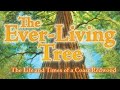 Exploring the Life of the Coast Redwood