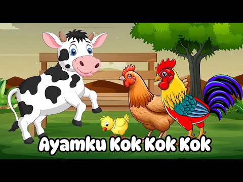 Lagu Anak - Ayamku Kok Kok Kok - Animasi Ayam Lucu - Ayam Berkokok - Lagu Anak Anak Indonesia