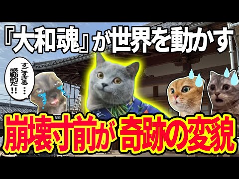 「もう無理だろ」→日本人の手で“ボロ倉庫”が奇跡の復元ｗ猫ミーム#海外の反応