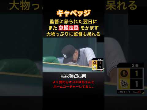 キャベッジ 際どいタイミングでスライディングせず駆け抜けてしまう… #プロ野球 #キャベッジ #巨人 #走塁 #怠慢 #阿部監督 #阪神タイガース #甲子園球場 #スライディング #怒る