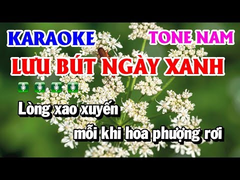 Karaoke Lưu Bút Ngày Xanh | Nhạc Sống Tone Nam Dm Hay Dễ Hát | Karaoke Thanh Hải