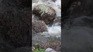 Mountain rivers. Eternal Love - Water and Stone. #Shorts
