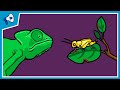 Exploring the Principles of Natural Selection