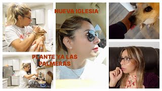 MI VIDA SIN EL.. COMENZANDO A PLANTAR... LAS CANCELE CREO ESTAN MEJOR ESTAS...
