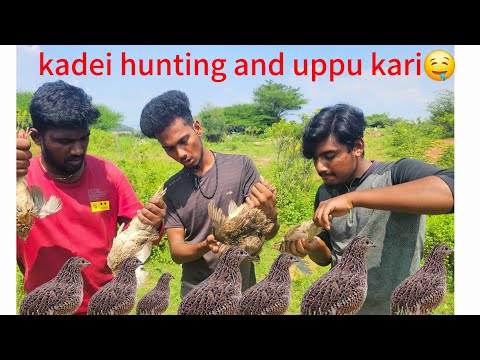 காடை வேட்டை 🥘🍗உப்பு கறி  Traditional food🤤#hunting #cooking #nothing_to_do #viralvideo #food