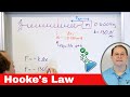 Spring Dynamics and Forces
