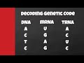 Amino Acids and Protein Synthesis