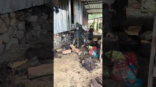 Preparing wood for open fire cooking #offgrid #homestead #nature #farming #openfirecooking