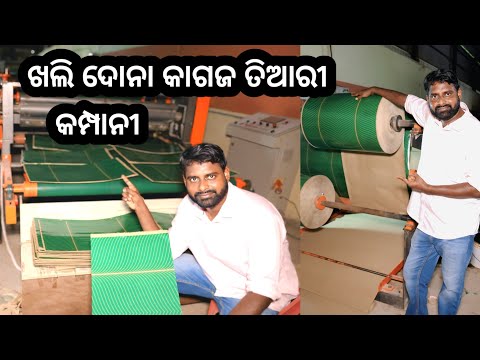 ଖଲି ଦୋନା କାଗଜ ତିଆରୀ କମ୍ପାନୀ ! Paper plate factory in Odisha #paperplatebusiness #paperplatemachine