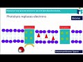 Light-Dependent Reactions of Photosynthesis
