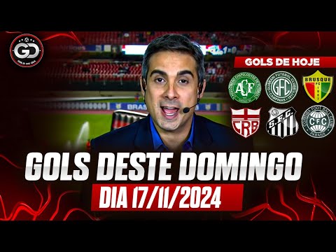 ⚽️ TODOS OS GOLS DESTE DOMINGO 17/11/2024 GOLS DE HOJE, GOLS DO DIA, GOLS DO BRASILEIRÃO (COMPLETO)