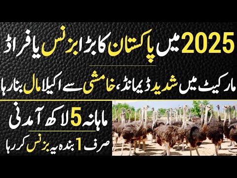 Biggest Farm Again Has High Demand of  2025 | Shortage of Ostrich Eggs & Chicks in Market