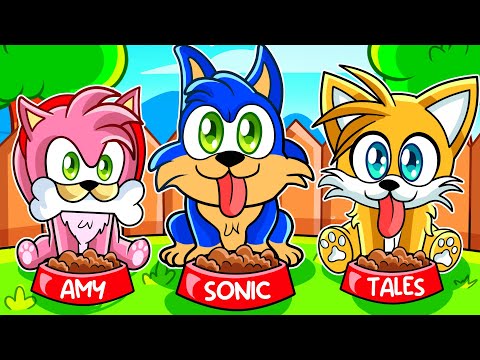 ¡SONIC, TAILS Y AMY SE CONVIERTEN en CACHORRITOS TIERNOS en ROBLOX!