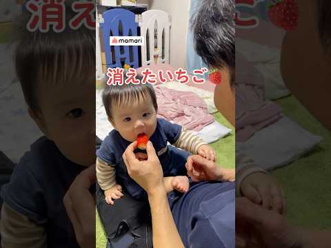 いちごに夢中の赤ちゃんvsパパのいたずら心😂🍓#shorts #赤ちゃん #パパ