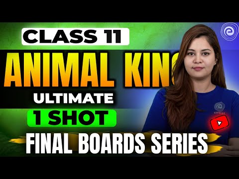 Animal Kingdom I Part 1 NCERT Exemplar Series Complete CBSE Course I Class 11 BIOLOGY