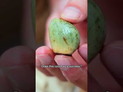 Does This Count as a Success?