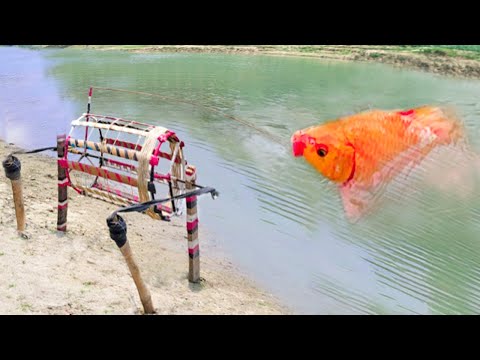 Best Fishing Video ~ Village Smart Boy Fishing With Hook ~ Traditional Hook Fishing