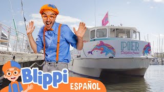 Blippi viaja en barco ⛵💧 Blippi Español | Videos educativos para niños | Aprende y Juega