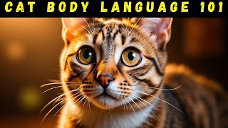7 Clear Signs in Your Cat’s Body Language Explained