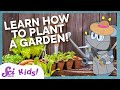 Understanding Vegetable Gardening Concepts