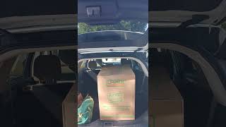 Marlon Chung's Melissa  Donation.