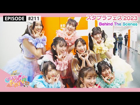 [Tokibaro TV] #211  Behind the scenes of Stapura Idol Festival 2023🌟