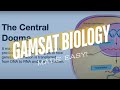 Protein Synthesis and Genetic Code