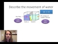 Cellular Transport Concepts and Mechanisms