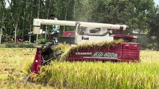Yanmar rice harvesting machine