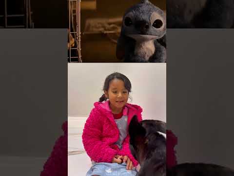 Eu vivo com a Lilo e o Stitch 😅 #filme #liloandstitch